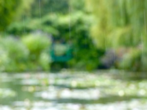 Giverny - Monet's Garden (7 